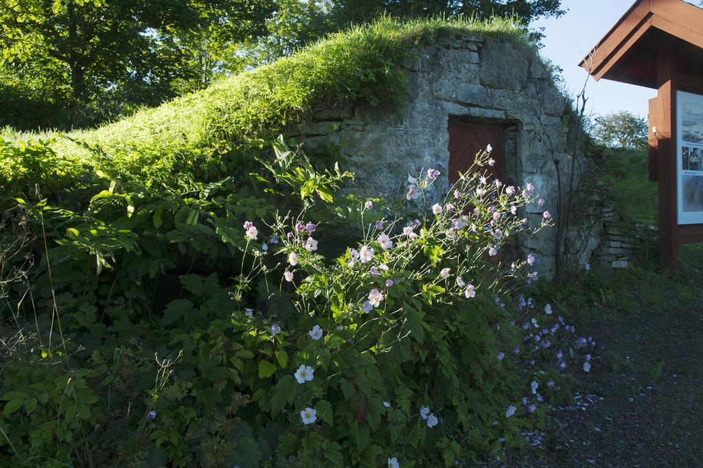 Loefwings B&B Broddetorp Kültér fotó